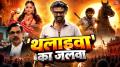 रजनीकांत की फिल्म जेलर 2 बॉक्स ऑफिस पर ताबड़तोड़ कमाई कर रही है. इसके सामने बॉलीवुड और तेलुगू सिनेमा से आई नई फिल्में भी पस्त होती नजर आईं. जेलर 2 ने शुक्रवार को जितनी कमाई की, उसके सामने