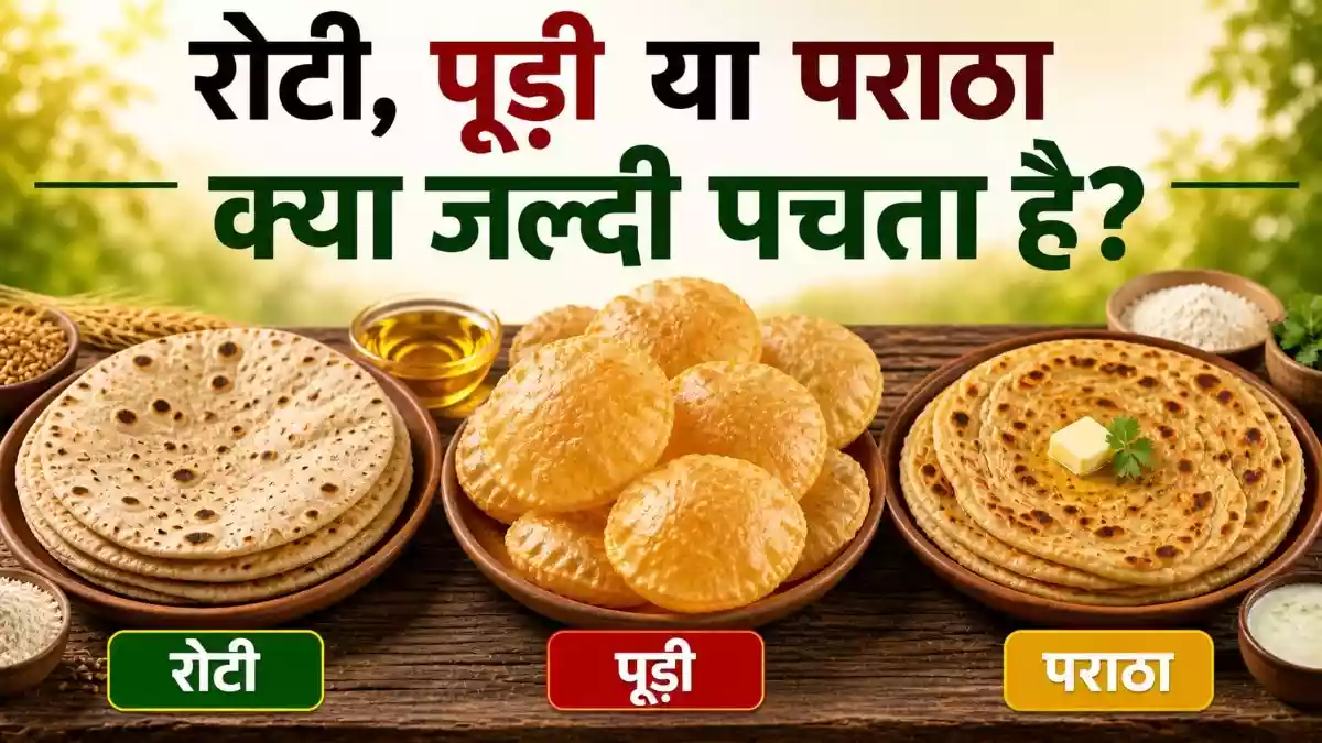 रोटी, पूड़ी या पराठा