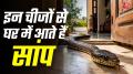 Snake Safety Tips: अगर आपको भी लगता है कि सांप केवल घने जंगनों, बाग-बगीचों या फिर झाड़ियों के आसपास ही रहते हैं तो आपको बता दे कि ये आपकी गलतफहमी है. घर में मौजूद कई ऐसी चीजें हैं जो सांपों को