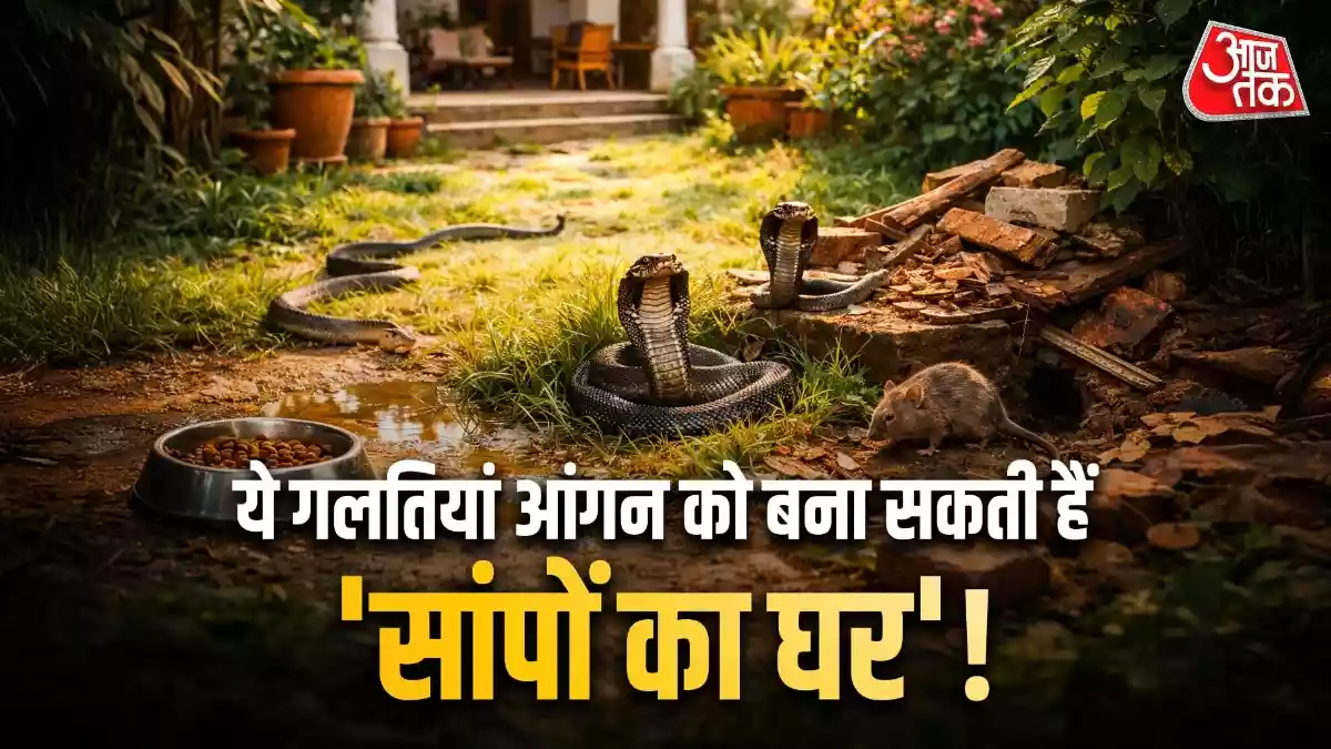 सांपों को न्योता दे रहीं आपकी 5 गलतियां