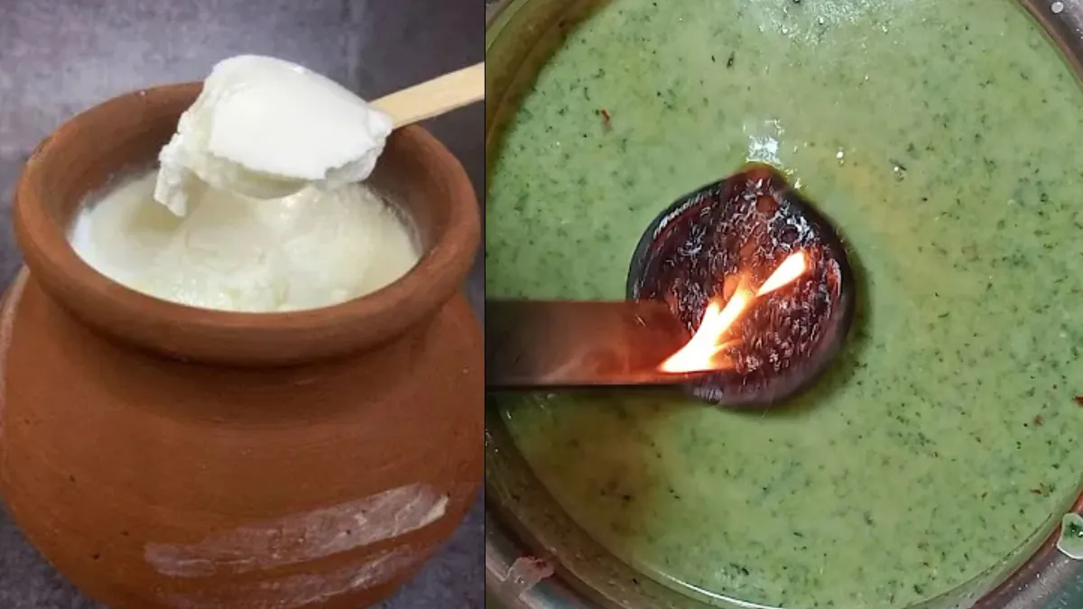 सर्दियों में कैसे खानी चाहिए दही