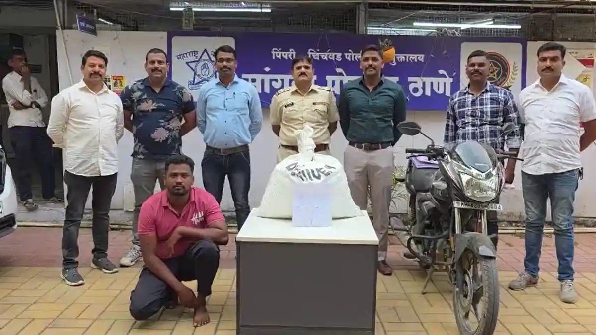 तबेले में जमीन के नीचे छिपाकर रखा गया था कई किलो गांजा