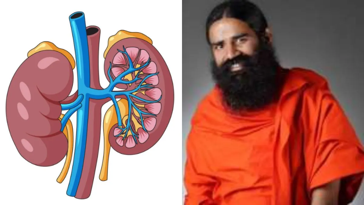 ठंड और प्रदूषण का किडनी पर हो रहा बुरा असर