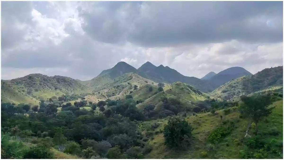 थार को थामे खड़ी अरावली के अस्तित्व पर संकट