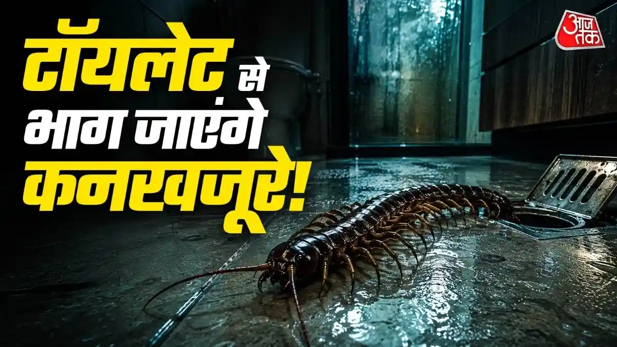 बारिश के मौसम में नमी और गंदगी के कारण बाथरूम और टॉयलेट की ड्रेन से बार-बार कनखजूरे बाहर आने लगते हैं. आज हम आपको बताएं कि रसोई में रखी हल्दी-नमक, नीम के तेल और कपूर जैसी साधारण चीजों की