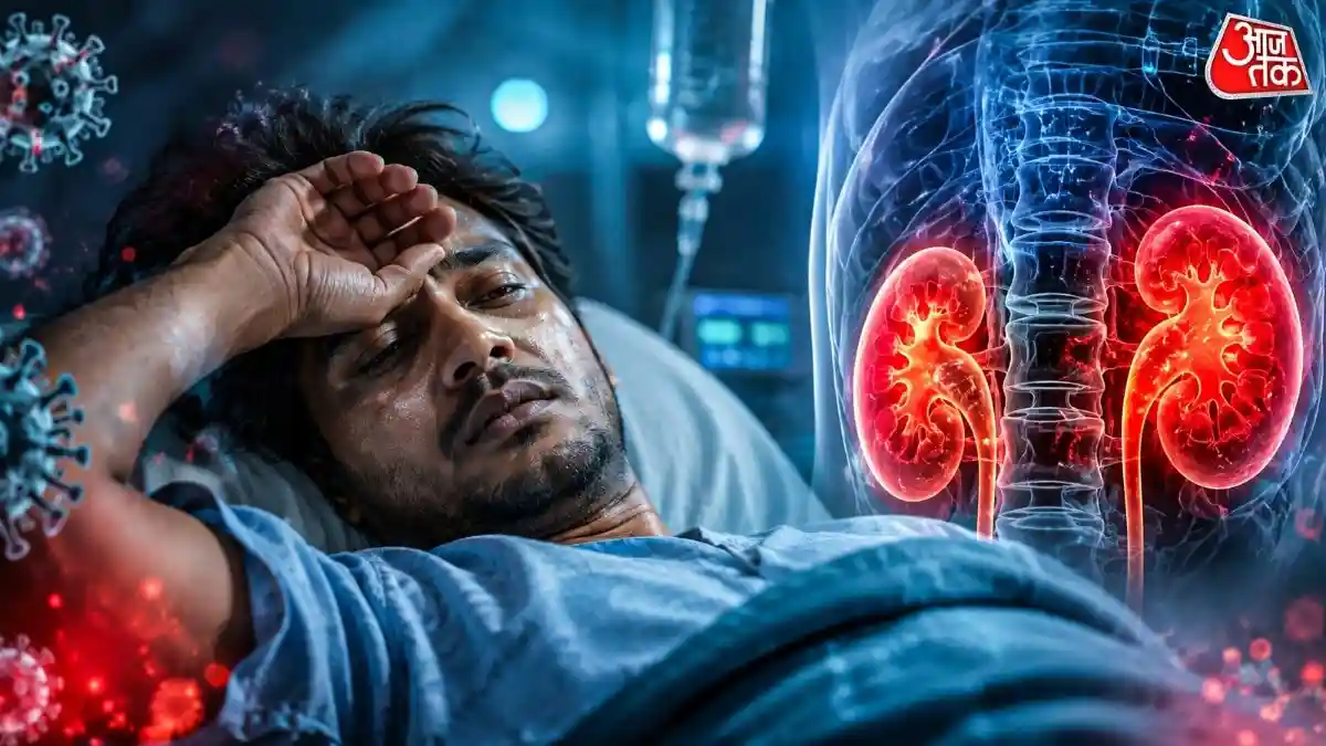वायरल बुखार के ठीक होने के बाद भी किडनी को गंभीर नुकसान पहुंच सकता है. डॉक्टरों के अनुसार, कुछ वायरस सीधे किडनी को संक्रमित करते हैं या इम्यून सिस्टम के जरिए नुकसान पहुंचाते हैं. खासकर
